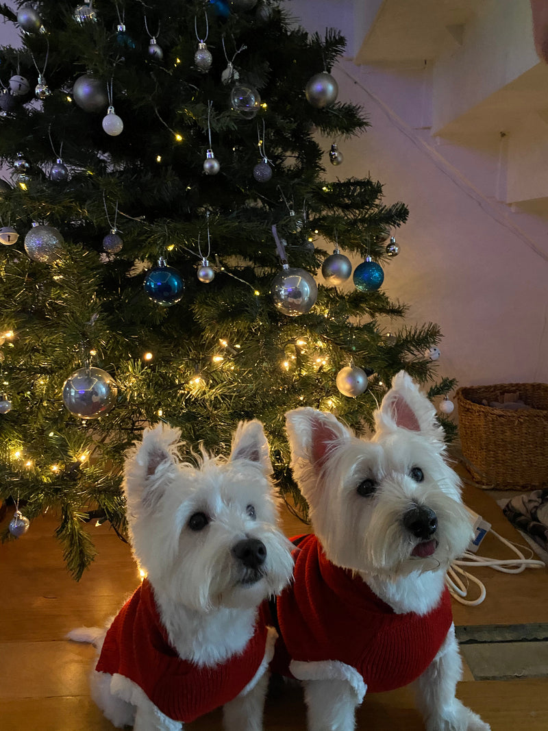 The Westie Brothers