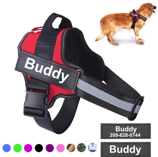 Reflective Dog Safety Vest | Adjustable High-Visibility Pet Harness