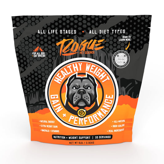Dog Food Topper for Healthy Weight Gain