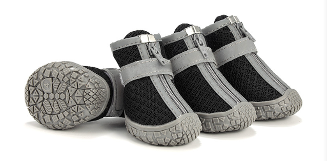Pet Shoes