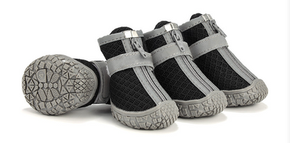 Pet Shoes